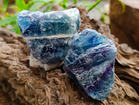 Natural Watermelon Fluorite Cobbed Specimens x 12 From Uis, Namibia