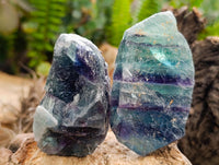 Natural Watermelon Fluorite Cobbed Specimens x 12 From Uis, Namibia