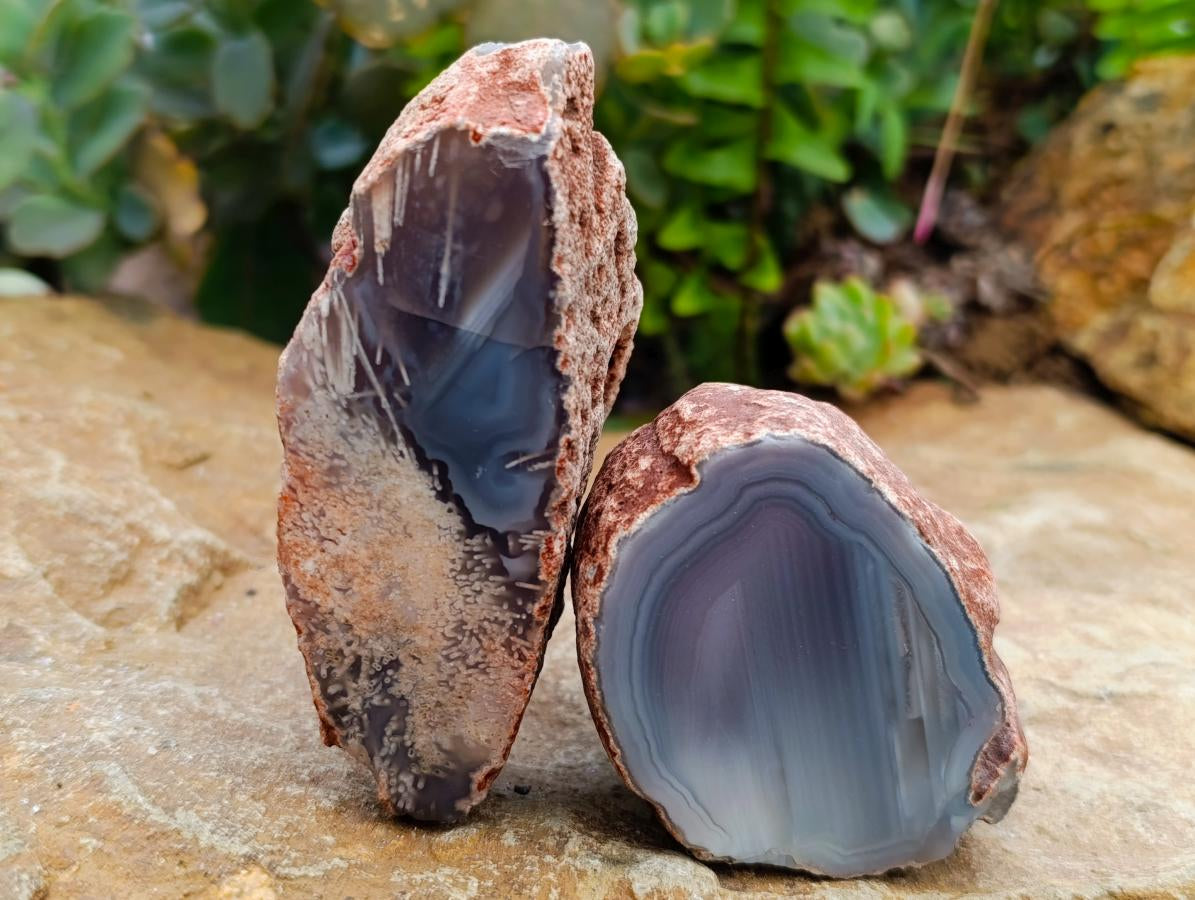 Polished On One Side Red Shashe River Agate Nodules x 7 From Shashe River, Zimbabwe