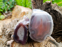 Polished On One Side Red Shashe River Agate Nodules x 7 From Shashe River, Zimbabwe