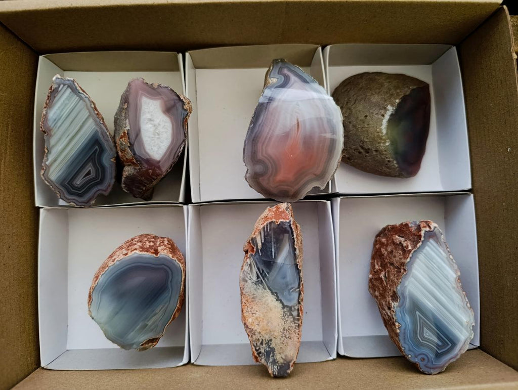 Polished On One Side Red Shashe River Agate Nodules x 7 From Shashe River, Zimbabwe