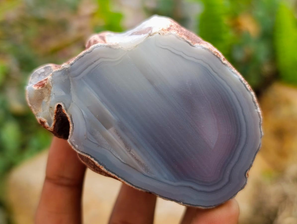 Polished On One Side Red Shashe River Agate Nodules x 7 From Shashe River, Zimbabwe