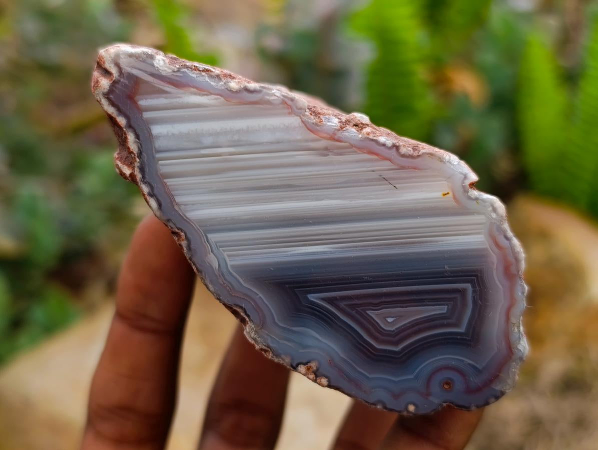 Polished On One Side Red Shashe River Agate Nodules x 7 From Shashe River, Zimbabwe