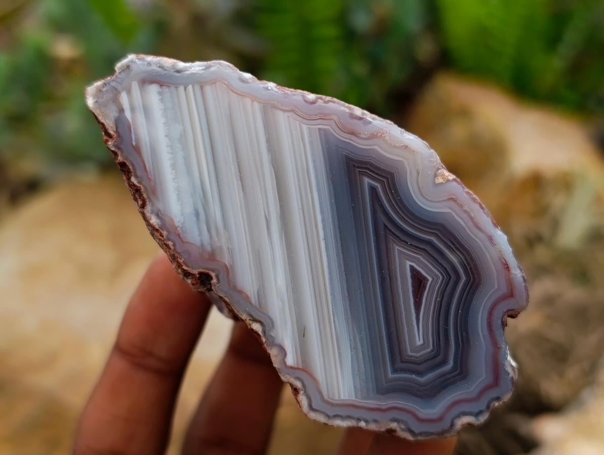 Polished On One Side Red Shashe River Agate Nodules x 7 From Shashe River, Zimbabwe