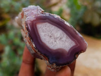 Polished On One Side Red Shashe River Agate Nodules x 7 From Shashe River, Zimbabwe