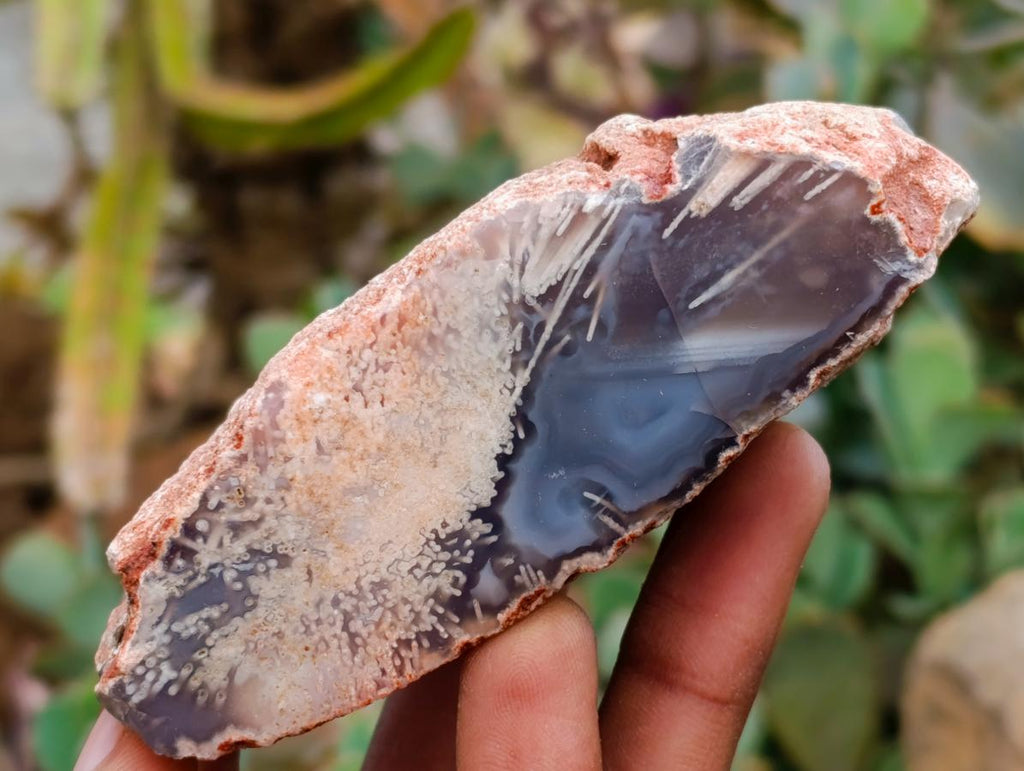 Polished On One Side Red Shashe River Agate Nodules x 7 From Shashe River, Zimbabwe
