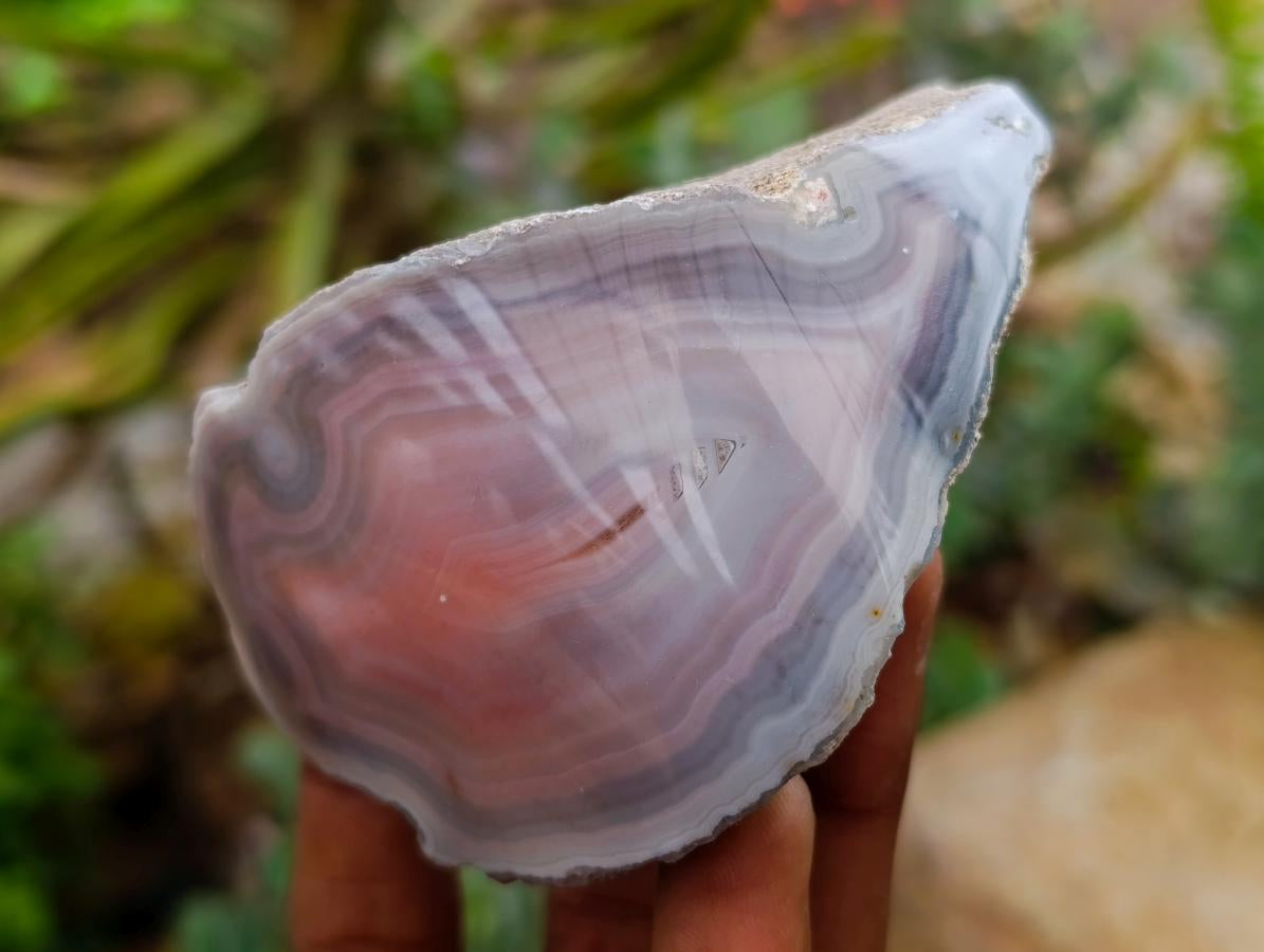 Polished On One Side Red Shashe River Agate Nodules x 7 From Shashe River, Zimbabwe