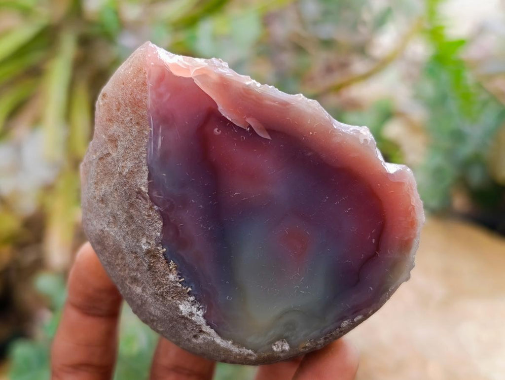 Polished On One Side Red Shashe River Agate Nodules x 7 From Shashe River, Zimbabwe
