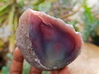 Polished On One Side Red Shashe River Agate Nodules x 7 From Shashe River, Zimbabwe