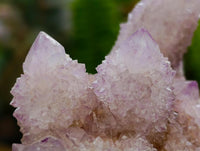 Natural Amethyst and Ametrine Spirit Clusters x 6 From Boekenhouthoek, South Africa