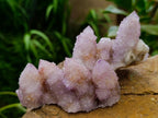 Natural Amethyst and Ametrine Spirit Clusters x 6 From Boekenhouthoek, South Africa