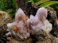 Natural Amethyst and Ametrine Spirit Clusters x 6 From Boekenhouthoek, South Africa