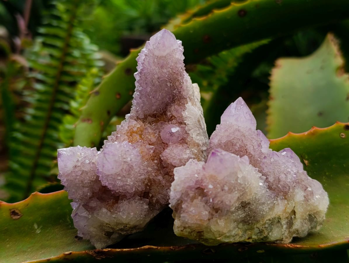 Natural Amethyst and Ametrine Spirit Clusters x 6 From Boekenhouthoek, South Africa