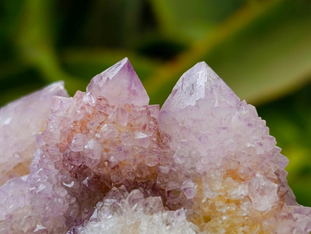 Natural Amethyst and Ametrine Spirit Clusters x 6 From Boekenhouthoek, South Africa