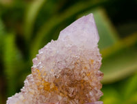 Natural Amethyst and Ametrine Spirit Clusters x 6 From Boekenhouthoek, South Africa