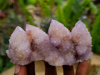 Natural Amethyst and Ametrine Spirit Clusters x 6 From Boekenhouthoek, South Africa