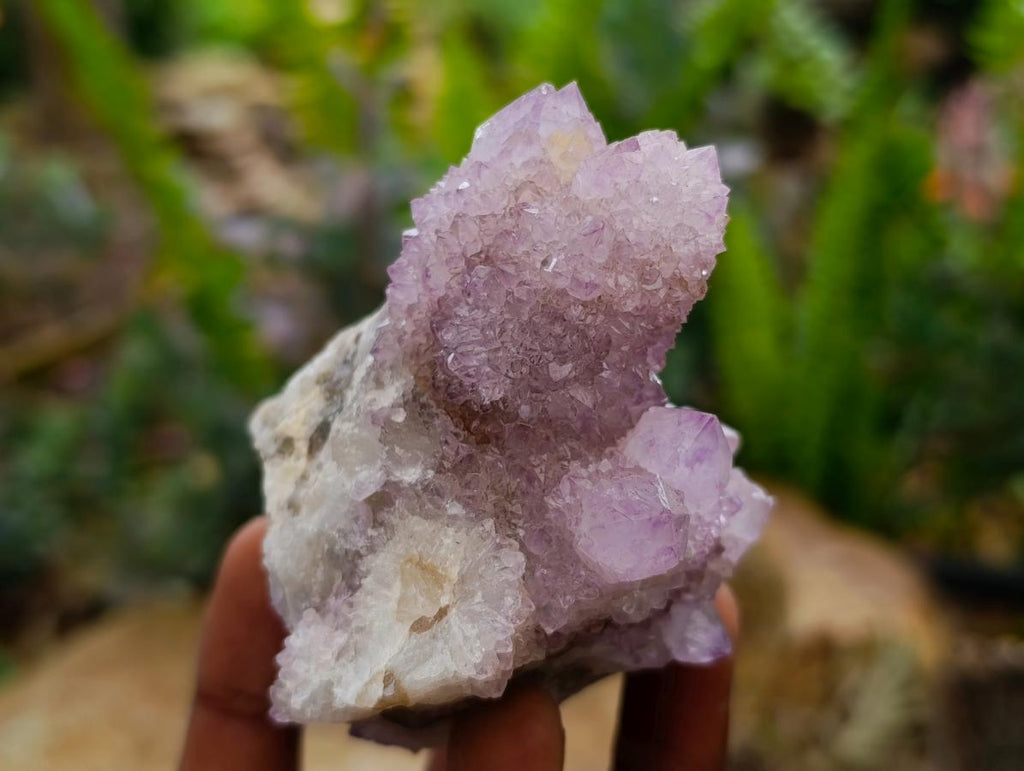 Natural Amethyst and Ametrine Spirit Clusters x 6 From Boekenhouthoek, South Africa