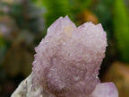 Natural Amethyst and Ametrine Spirit Clusters x 6 From Boekenhouthoek, South Africa