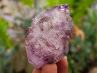 Natural Window Amethyst Crystals x 12 From Chiredzi, Zimbabwe