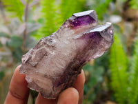 Natural Window Amethyst Crystals x 12 From Chiredzi, Zimbabwe