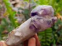 Natural Window Amethyst Crystals x 12 From Chiredzi, Zimbabwe