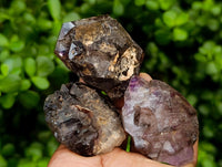 Natural Window Amethyst Crystals x 12 From Chiredzi, Zimbabwe