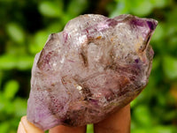 Natural Window Amethyst Crystals x 12 From Chiredzi, Zimbabwe