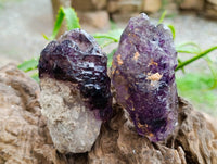 Natural Window Amethyst Crystals x 12 From Chiredzi, Zimbabwe