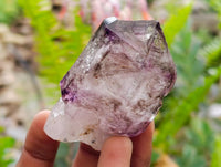 Natural Window Amethyst Crystals x 12 From Chiredzi, Zimbabwe