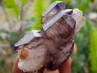 Natural Window Amethyst Crystals x 12 From Chiredzi, Zimbabwe