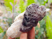 Natural Window Amethyst Crystals x 12 From Chiredzi, Zimbabwe