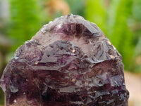 Natural Window Amethyst Crystals x 12 From Chiredzi, Zimbabwe