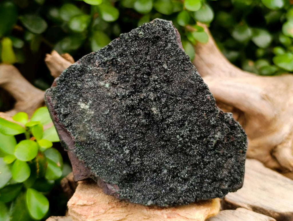 Natural Libethenite Crystals On Dolomite Matrix Specimens x 2 From Shituru, Congo