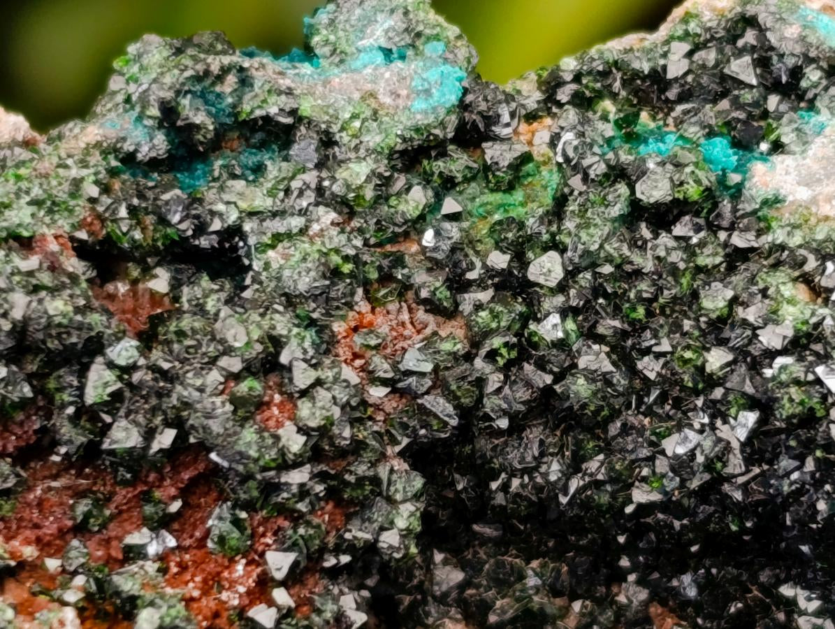 Natural Libethenite Crystals On Dolomite Matrix Specimens x 2 From Shituru, Congo