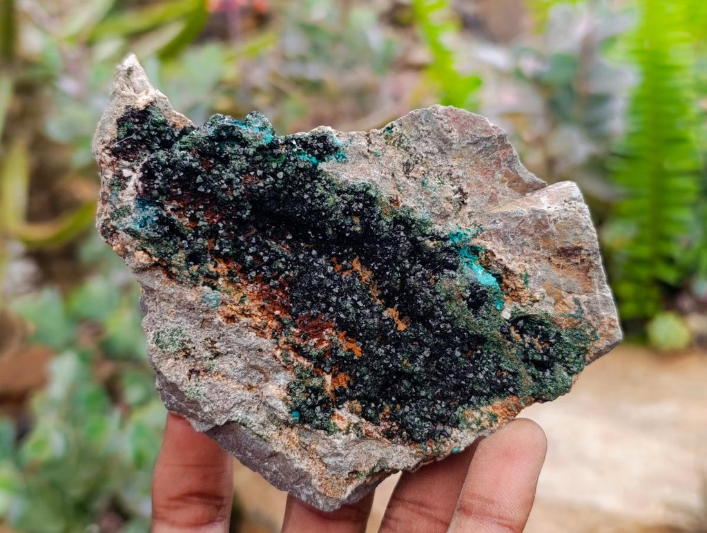 Natural Libethenite Crystals On Dolomite Matrix Specimens x 2 From Shituru, Congo
