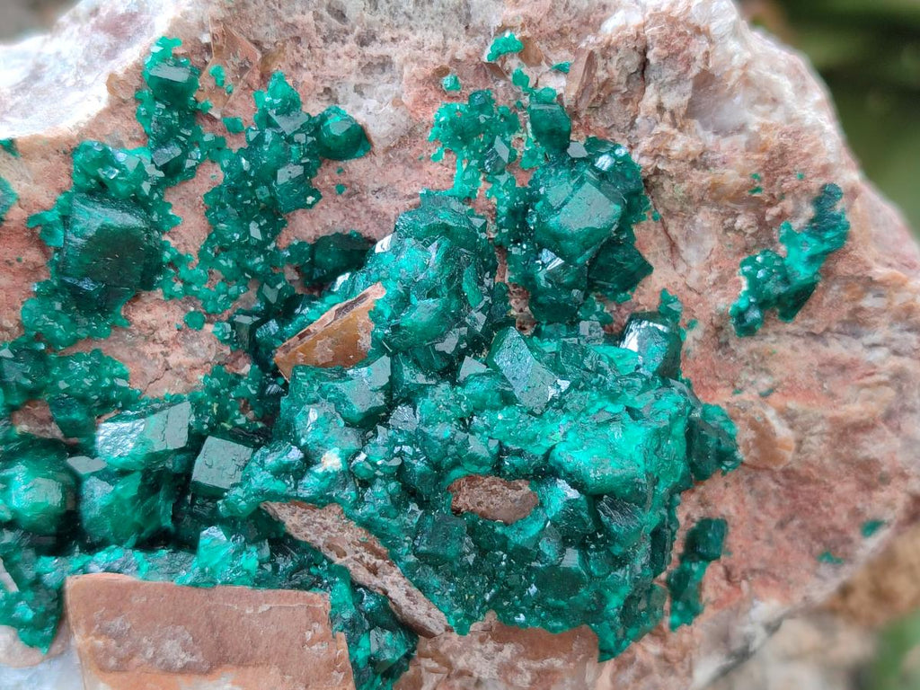 Natural Dioptase On Dolomite Specimen x 1 From Likasi, Congo