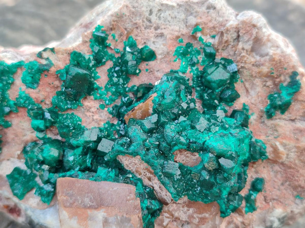 Natural Dioptase On Dolomite Specimen x 1 From Likasi, Congo