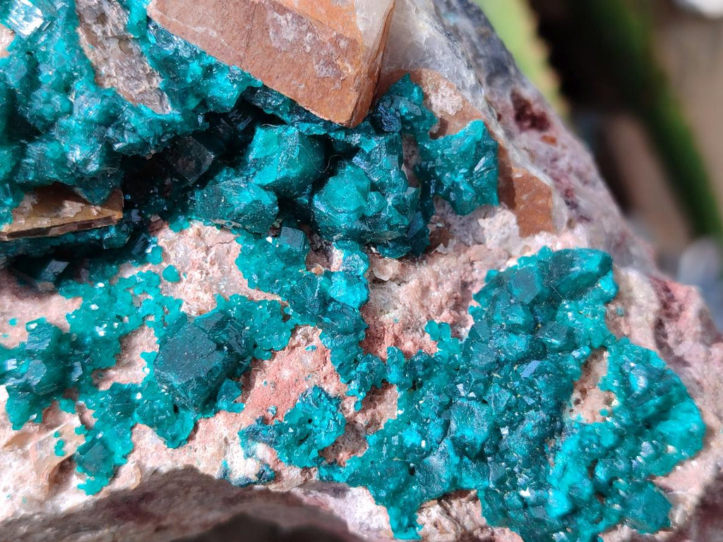 Natural Dioptase On Dolomite Specimen x 1 From Likasi, Congo