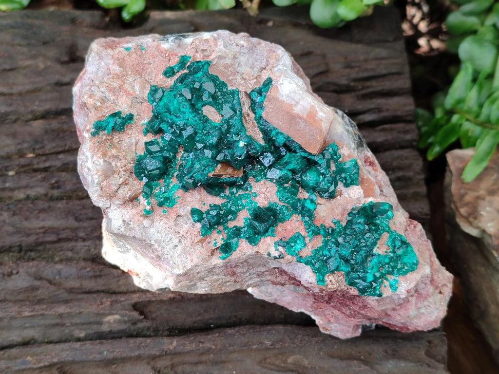 Natural Dioptase On Dolomite Specimen x 1 From Likasi, Congo