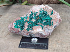Natural Dioptase On Dolomite Specimen x 1 From Likasi, Congo
