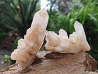 Natural Cascading Candle Quartz Clusters x 12 From Antsirabe, Madagascar
