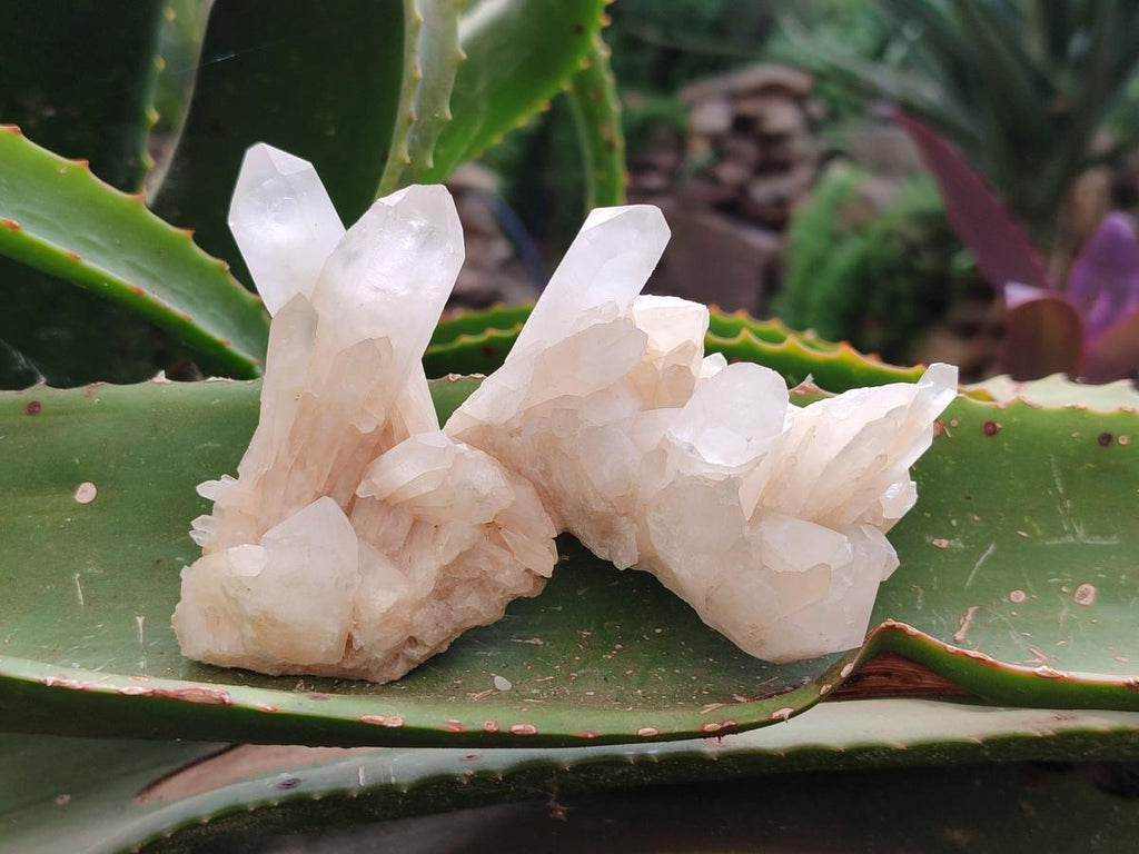 Natural Cascading Candle Quartz Clusters x 12 From Antsirabe, Madagascar