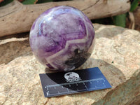 Polished Purple Chevron Amethyst Sphere x 1 From Madagascar