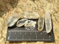 Natural Smokey and Clear Quartz Crystals x 2 Kg Lot From Zambia
