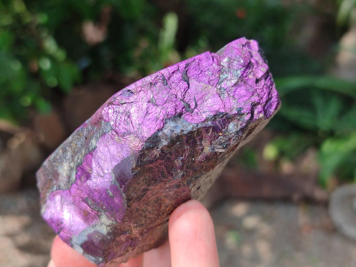 Polished On One Side Metallic Purpurite Slices x 6 From Namibia