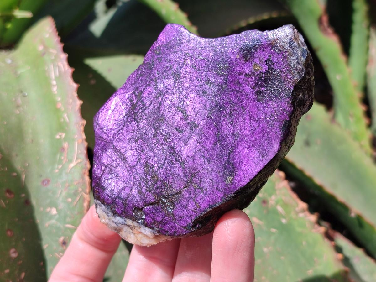 Polished On One Side Metallic Purpurite Slices x 6 From Namibia