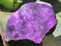 Polished On One Side Metallic Purpurite Slices x 6 From Namibia