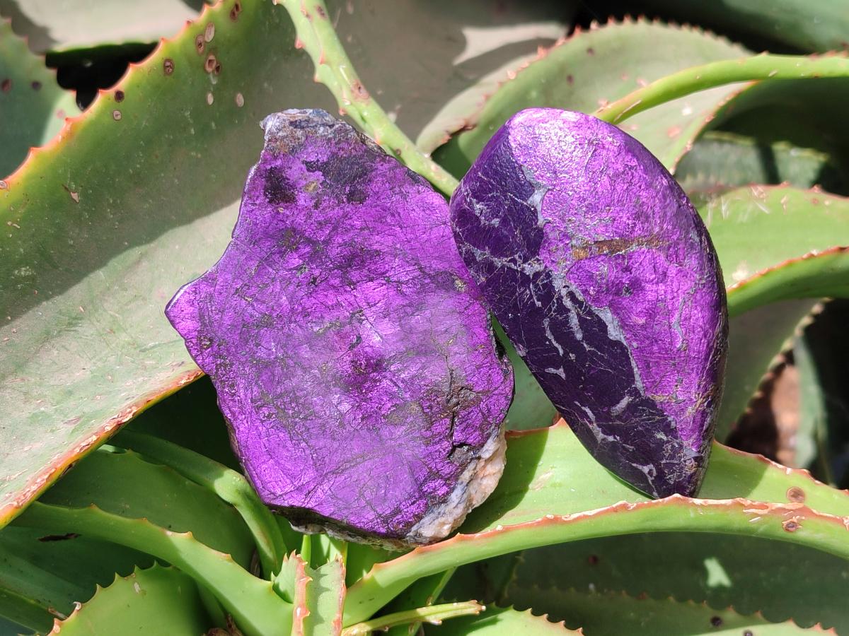 Polished On One Side Metallic Purpurite Slices x 6 From Namibia