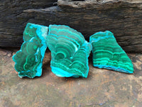 Polished Malacolla Slices x 6 From Kulukuluku, Congo