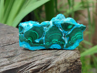 Polished Malacolla Slices x 6 From Kulukuluku, Congo